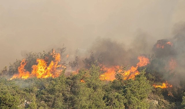 Komşudaki yangına çok sayıda araç ve ekiple müdahale