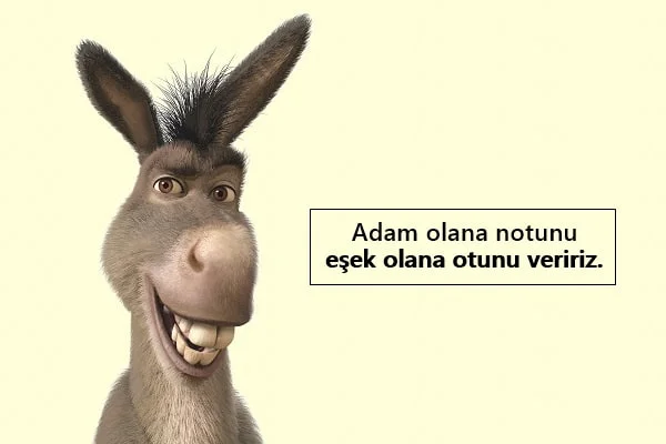 Komik Facebook Sözleri